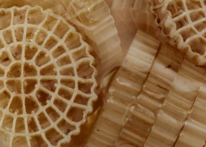 Прямая HDPE материал MBBR Пластиковая биофильтрная среда с хорошей поверхностью